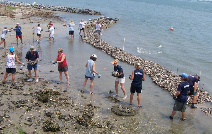 Photo 8 from RESTORE AMERICA'S ESTUARIES